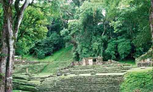 La selva tropical perennifolia y los mayas